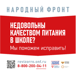 НАРОДНЫЙ РЕВИЗОРРО